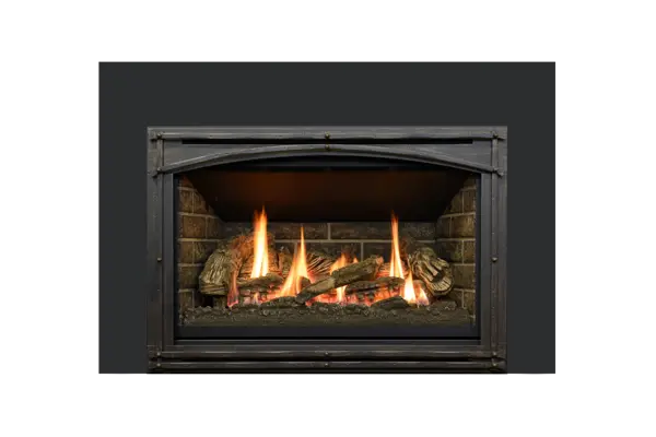 Chaska 335S Gas Insert