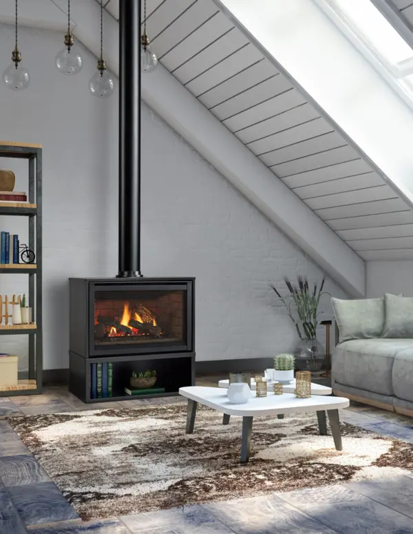 Trilliant Gas Stove