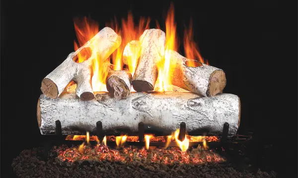 White Birch Logs - 18