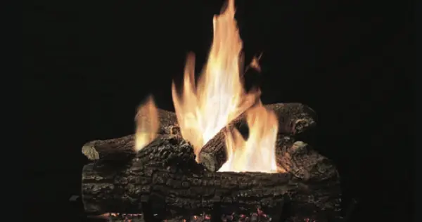 Great Lakes Oak Log Set - 18