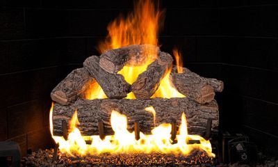 RH Peterson: Golden Oak Designer Plus Flame Enhanced Logs - 24" - primary view