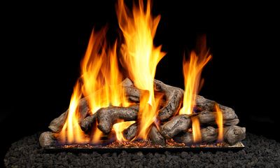 RH Peterson: Shoreline Driftwood Logs - 18" - primary view